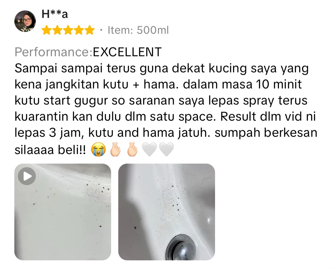 Testimoni 2